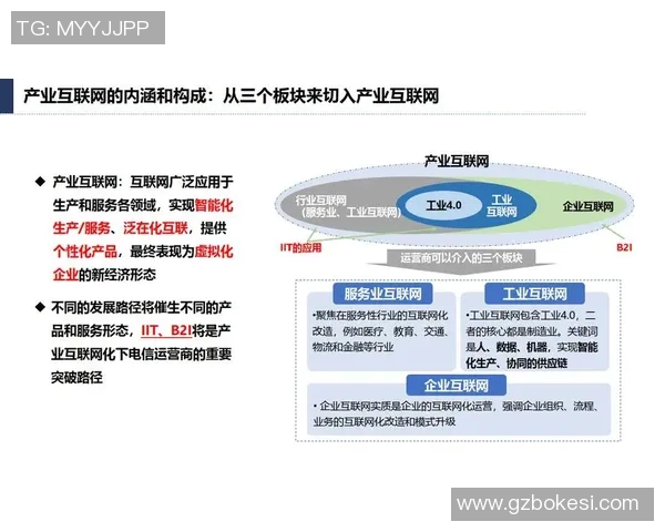 互联网信息时代:数字化变革下的全球网络趋势与未来发展探索 互联网信息时代:数字化变革下的全球网络趋势与未来发展探索