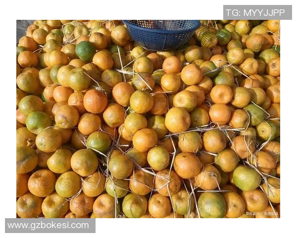 探索果蔬的营养价值与健康益处提升生活品质的全方位指南