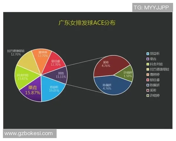 上海排球队意识对比深度解析与发展趋势探讨
